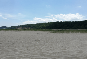 Flag Ponds Nature Park